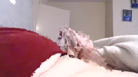 Snapshot of frankiel745 chatting on December 9, 12:40 pm frankiel745 online show from December 9, 12:40 pm