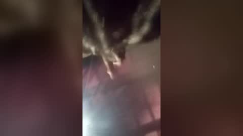 freakyrickyyy6 online show from June 18, 3:38 pm