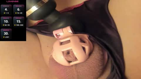 Meadow online show from January 11, 12:29 pm