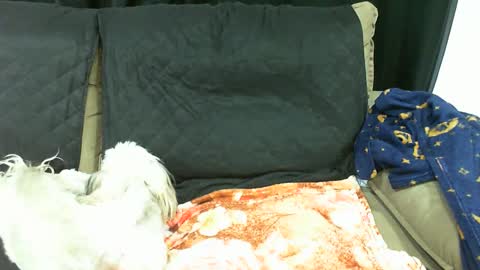 gaby  layla online show from January 13, 3:56 am