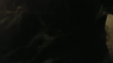 Snapshot of gary_in_maryland chatting on January 9, 12:46 am Gary online show from January 9, 12:46 am