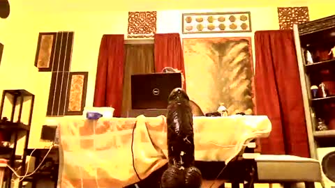 Snapshot of gatewaylaptop2019 chatting on March 9, 7:56 am gatewaylaptop2019 online show from March 9, 7:56 am