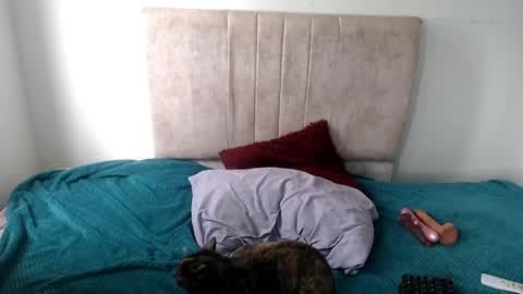 gatita13333321 online show from April 13, 5:18 pm