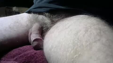 gemini_2 online show from February 9, 6:54 am