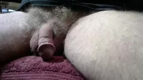 gemini_2 online show from January 11, 2:55 pm