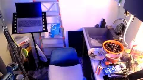 Snapshot of georgempt chatting on January 12, 7:42 pm georgempt online show from January 12, 7:42 pm