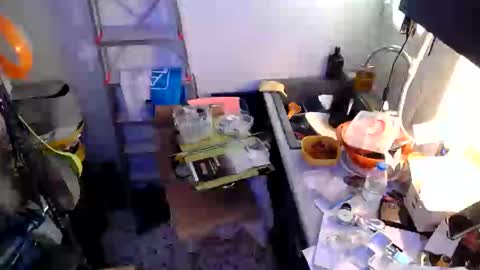 Snapshot of georgempt chatting on January 18, 9:24 am georgempt online show from January 18, 9:24 am