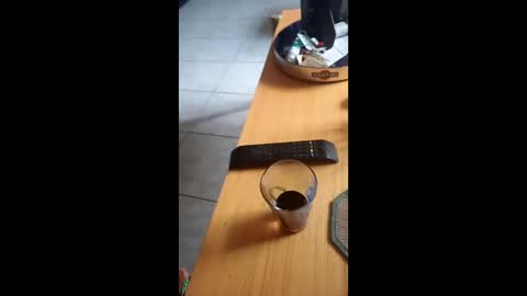 Snapshot of gergokertesz chatting on December 24, 12:55 pm gergokertesz online show from December 24, 12:55 pm