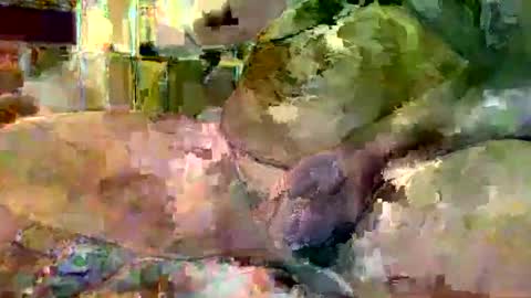 Snapshot of gergokertesz chatting on January 16, 3:02 am gergokertesz online show from January 16, 3:02 am