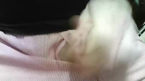 germandaddydick1 online show from October 25, 8:03 pm