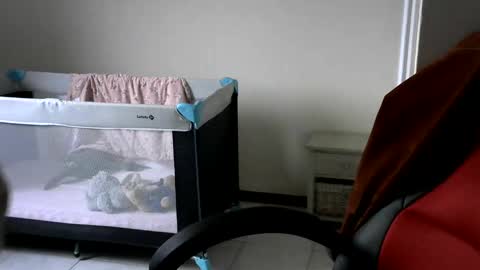 Snapshot of gh1952ma chatting on February 24, 7:55 am Gisse online show from February 24, 7:55 am