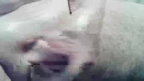 Snapshot of ghost1805 chatting on December 10, 2:05 am ghost1805 online show from December 10, 2:05 am