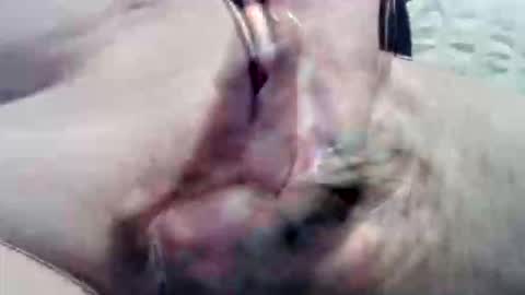 Snapshot of ghost1805 chatting on September 15, 9:04 pm ghost1805 online show from September 15, 9:04 pm