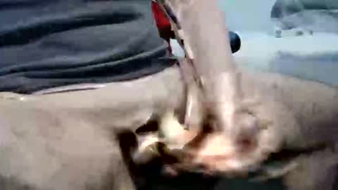 Snapshot of ghost1805 chatting on October 6, 10:29 pm ghost1805 online show from October 6, 10:29 pm