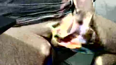 Snapshot of ghost1805 chatting on October 14, 3:51 am ghost1805 online show from October 14, 3:51 am