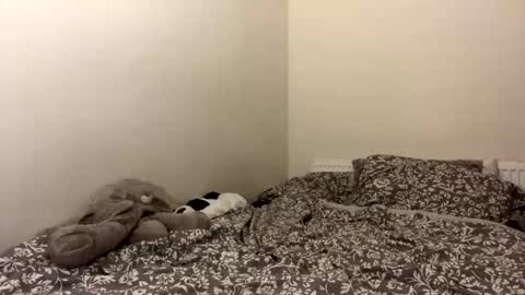 Snapshot of ghostpetal chatting on October 12, 1:37 am ghostpetal online show from October 12, 1:37 am