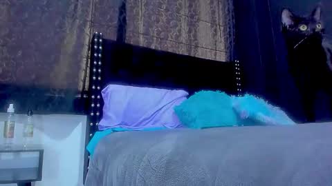 Miss online show from September 29, 5:40 pm