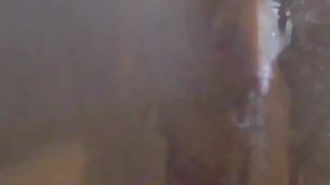 Snapshot of girlscallme666 chatting on March 7, 10:40 pm lovegirlscallme online show from March 7, 10:40 pm