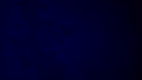 Snapshot of giuseppeciao206 chatting on December 16, 9:25 am elen06 online show from December 16, 9:25 am