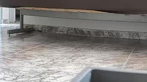 Snapshot of goddesshannahfeet_ chatting on April 7, 4:40 pm goddesshannahfeet_ online show from April 7, 4:40 pm