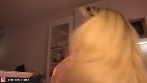 Snapshot of golden_alinee chatting on February 23, 9:59 pm Aline meow online show from February 23, 9:59 pm