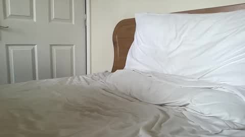 Snapshot of gotenks93 chatting on March 4, 8:35 am Dillan Diamonds online show from March 4, 8:35 am