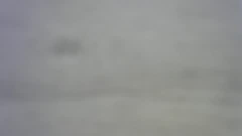 Snapshot of greekmeal1234 chatting on February 27, 8:09 pm greekmeal1234 online show from February 27, 8:09 pm