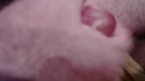 Snapshot of gregburns chatting on January 18, 4:31 pm Greg online show from January 18, 4:31 pm