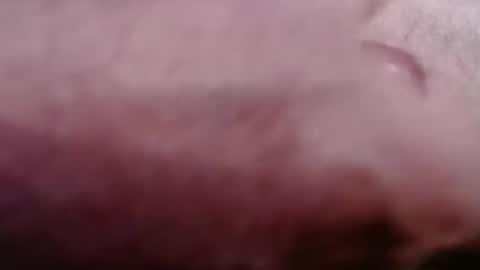 Snapshot of gregburns chatting on February 21, 8:43 pm Greg online show from February 21, 8:43 pm