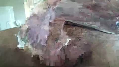 Snapshot of grumpymonk156 chatting on May 18, 7:09 pm deviant156 online show from May 18, 7:09 pm