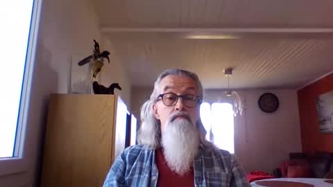 Grybear online show from February 17, 11:50 am
