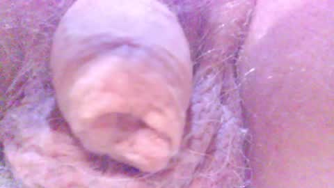 Snapshot of hagridthehorrible chatting on February 5, 12:53 am hagridthehorrible online show from February 5, 12:53 am