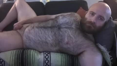 Snapshot of hairiestbear chatting on July 23, 12:36 pm Hairiest Bear online show from July 23, 12:36 pm