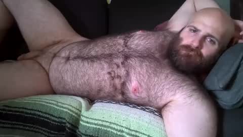Snapshot of hairiestbear chatting on August 1, 8:08 pm Hairiest Bear online show from August 1, 8:08 pm