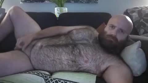 Snapshot of hairiestbear chatting on August 2, 9:08 am Hairiest Bear online show from August 2, 9:08 am