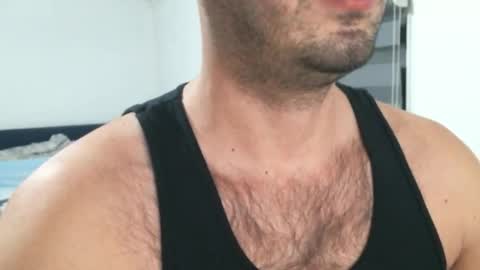 Snapshot of hairyeurostud chatting on February 1, 12:53 am Andy online show from February 1, 12:53 am