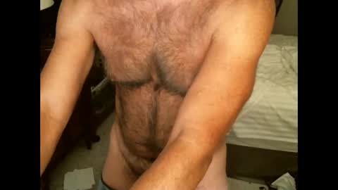 Snapshot of hairypecsguy chatting on September 8, 6:18 pm Hairy pecs online show from September 8, 6:18 pm
