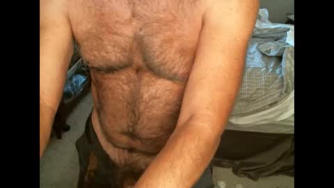 Snapshot of hairypecsguy chatting on September 12, 11:15 pm Hairy pecs online show from September 12, 11:15 pm