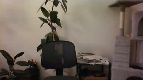 hairypussylover089 online show from July 12, 4:36 am
