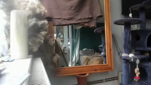 Snapshot of handncocknocum chatting on December 9, 8:44 am handncocknocum online show from December 9, 8:44 am