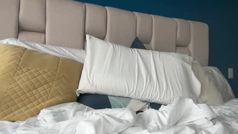 Snapshot of hanzlagerfelt chatting on November 4, 8:52 pm hanzlagerfelt online show from November 4, 8:52 pm