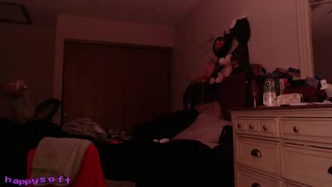 Snapshot of happysoft chatting on April 20, 7:48 pm meatwad online show from April 20, 7:48 pm