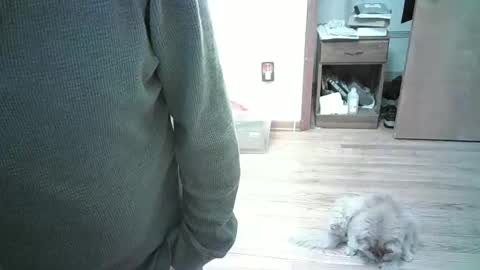 Snapshot of har5 chatting on January 3, 8:01 pm Hardy-Har online show from January 3, 8:01 pm