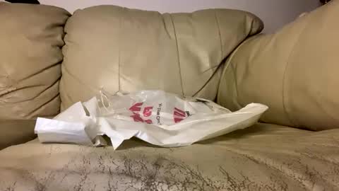 Snapshot of hardcock2622 chatting on February 19, 8:10 am Slim West Cox online show from February 19, 8:10 am