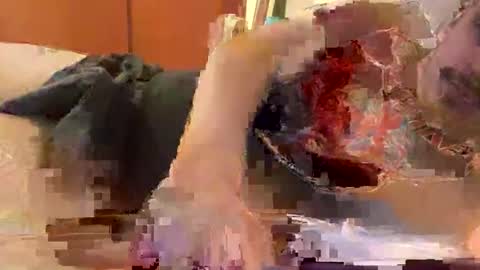 hardcock389397 online show from February 27, 3:39 am