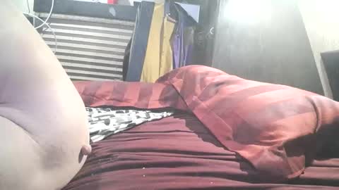 hardcock8612 online show from December 15, 7:12 am