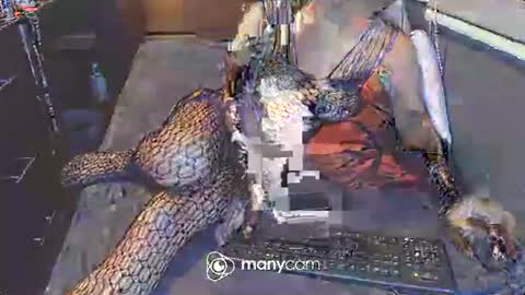 Irina online show from March 3, 12:48 pm