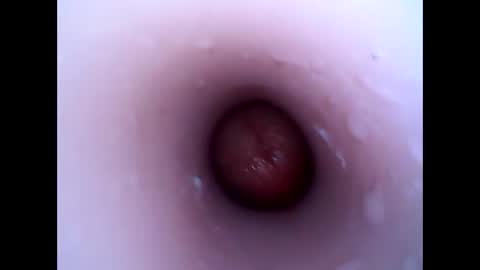 Snapshot of hardhammerboy chatting on December 30, 4:08 pm hardhammerboy online show from December 30, 4:08 pm