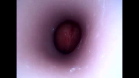 Snapshot of hardhammerboy chatting on January 1, 8:26 pm hardhammerboy online show from January 1, 8:26 pm