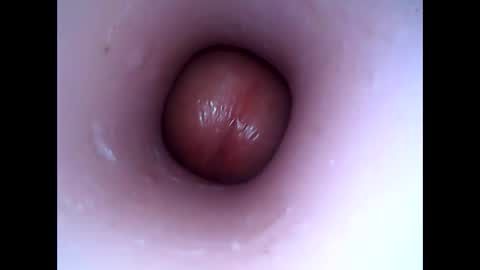 Snapshot of hardhammerboy chatting on January 8, 9:12 pm hardhammerboy online show from January 8, 9:12 pm